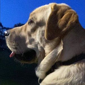 Meet your Posher, Kylie